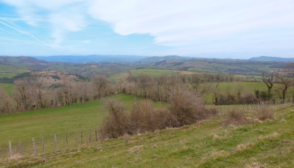 Bocage, vieux arbres, argiles et puech